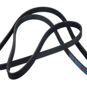 Serpentine Drive Belt