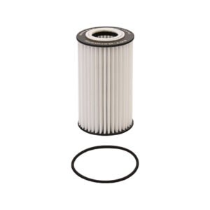SCT Germany SH425P Oil Filter